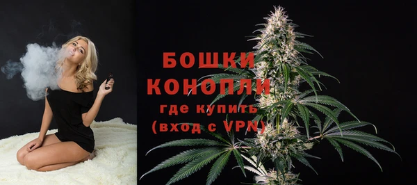 дурь Семёнов
