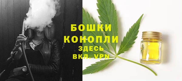 дмт Бронницы