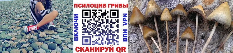 Псилоцибиновые грибы мицелий  Полтавская 