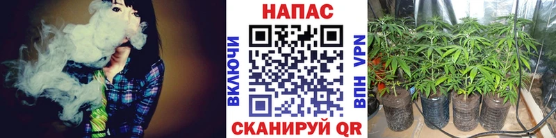 Бошки Шишки план  где купить наркоту  Полтавская 